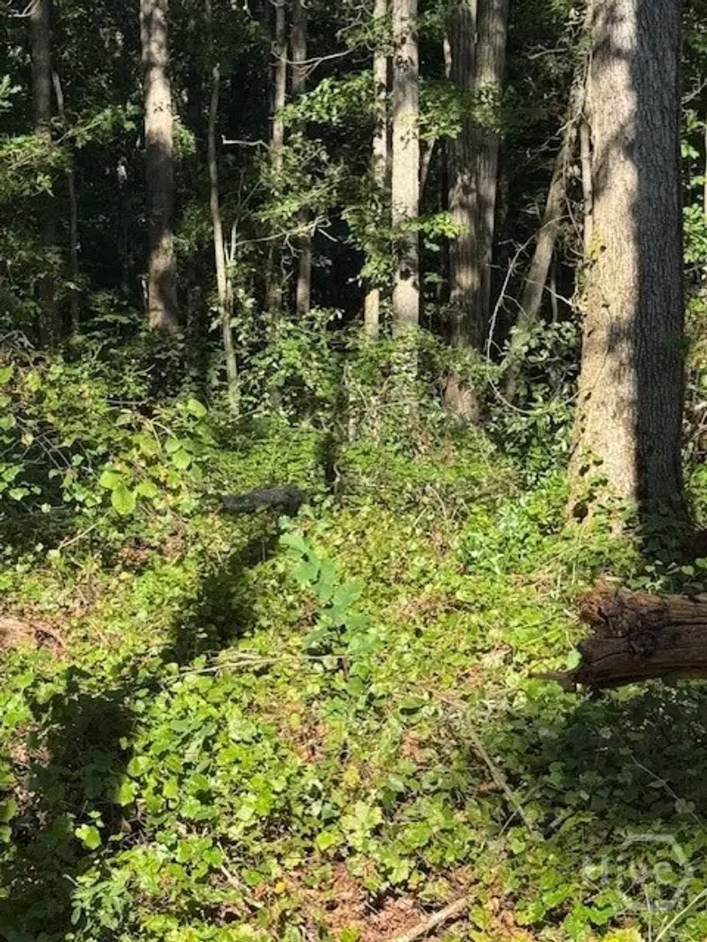 0 Rita Ridge Lot 5, Jefferson