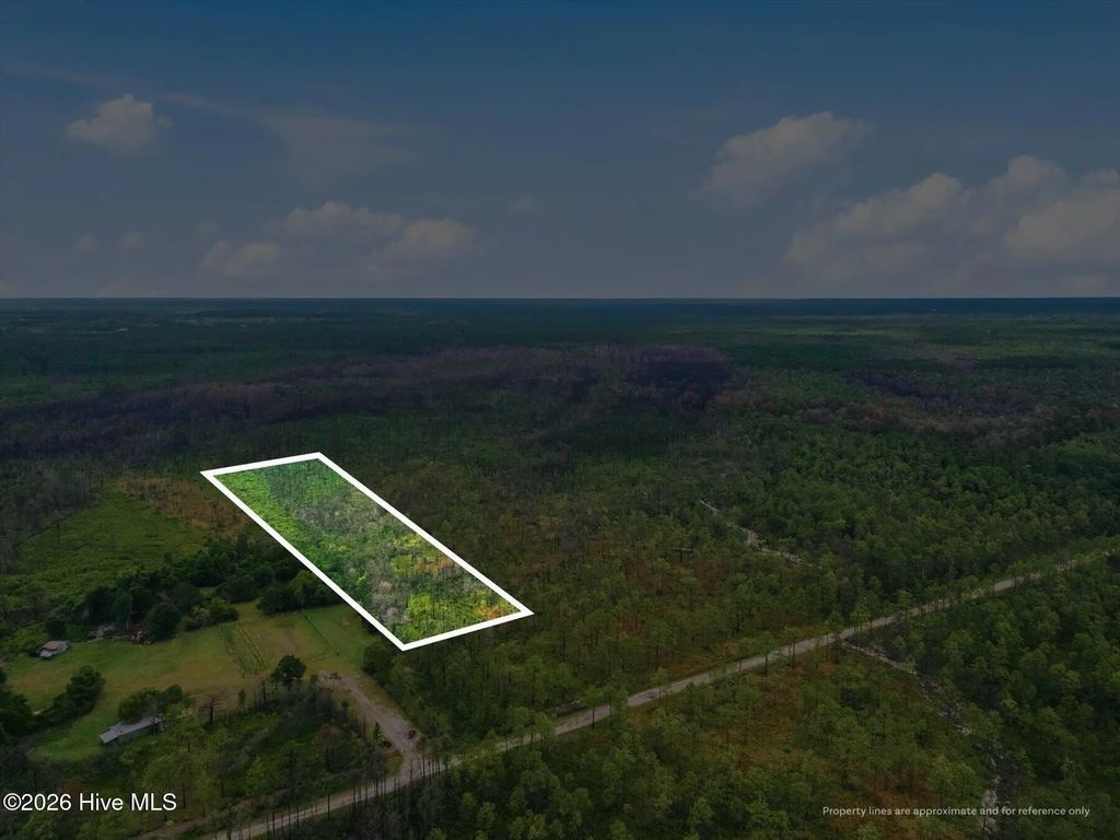 10 Acres Address Tbd, Boiling Spring Lakes
