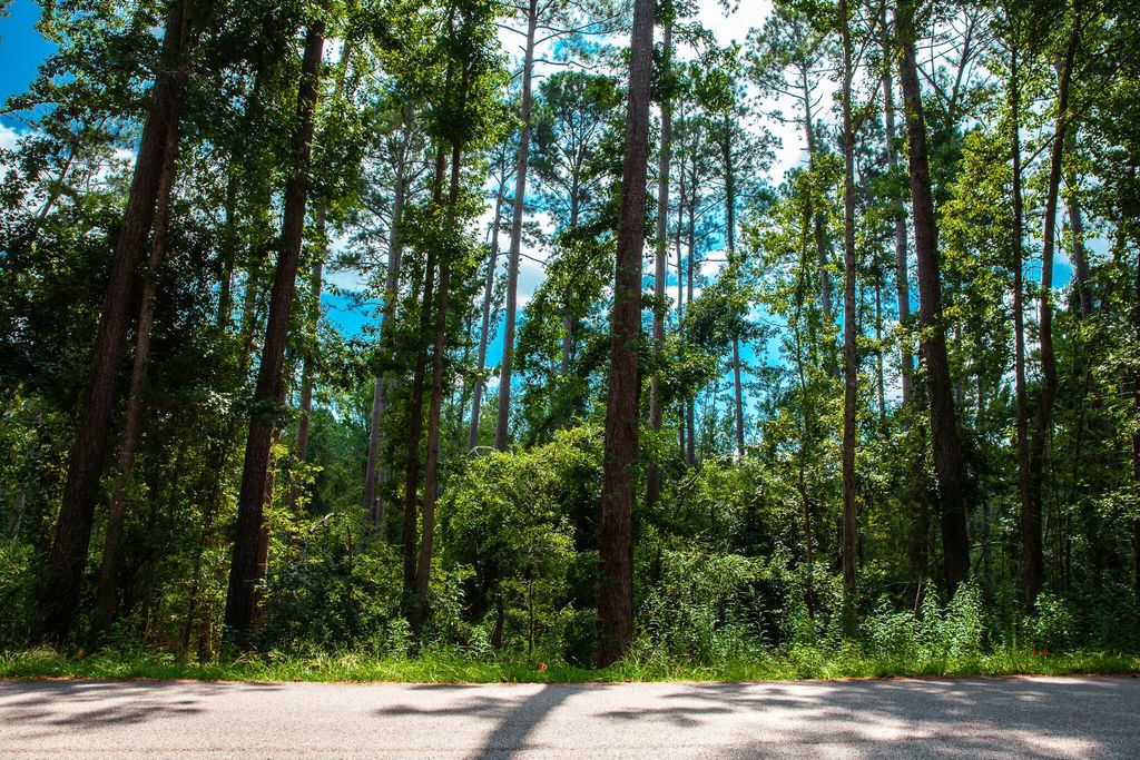 Lot 4 Furey Drive, McCormick