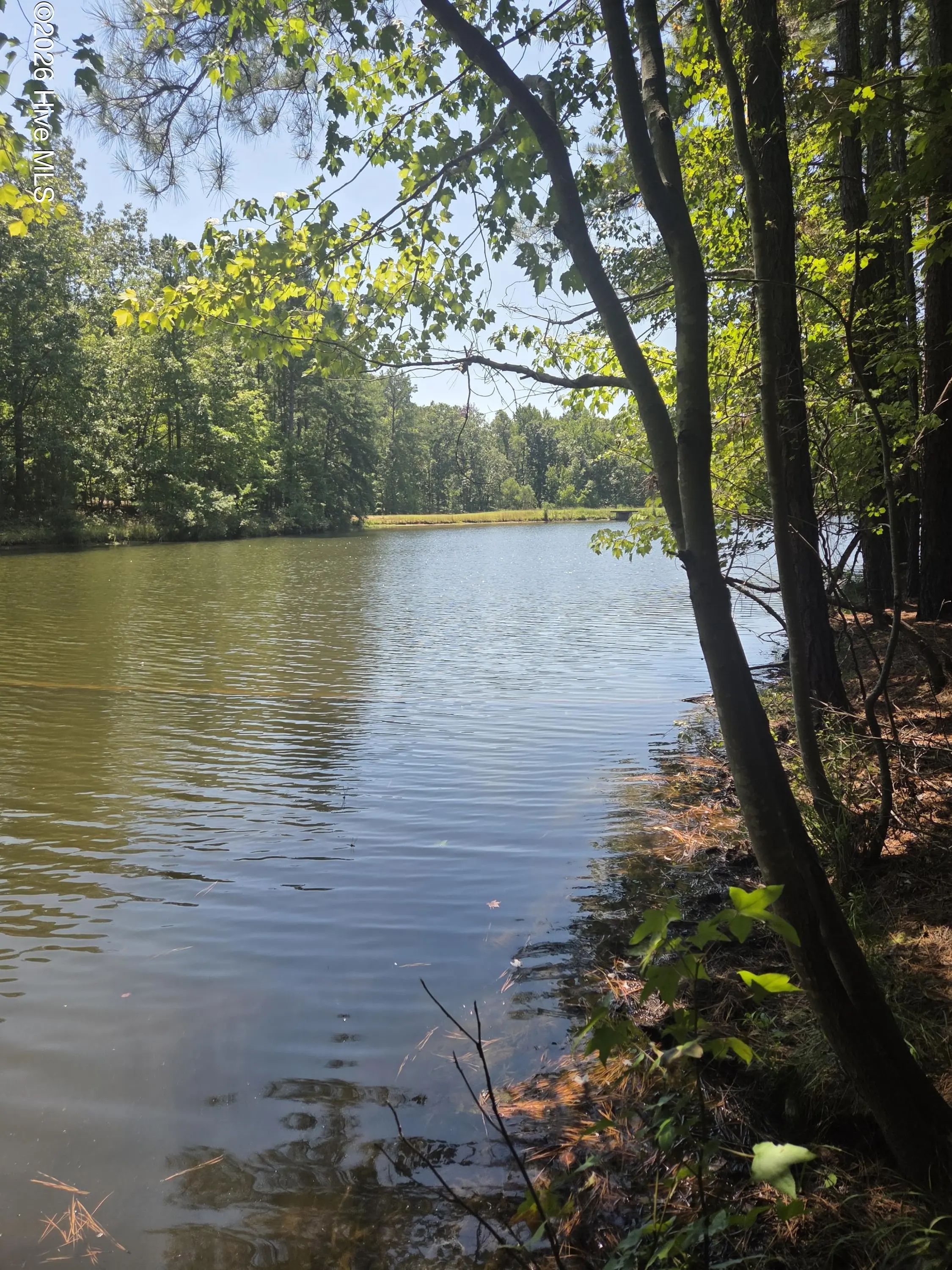 Lot 45b Appaloosa Lake Drive, Carthage