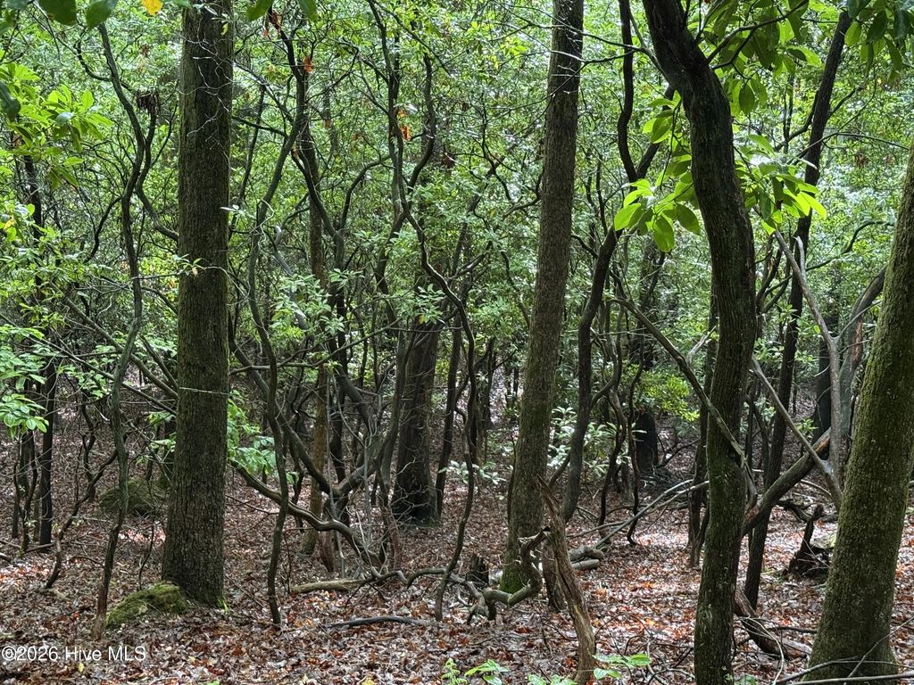 Lot 28 Atoah Loop, Murphy