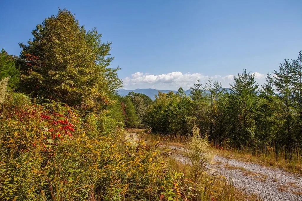000 Mistletoe Ridge, Peachtree
