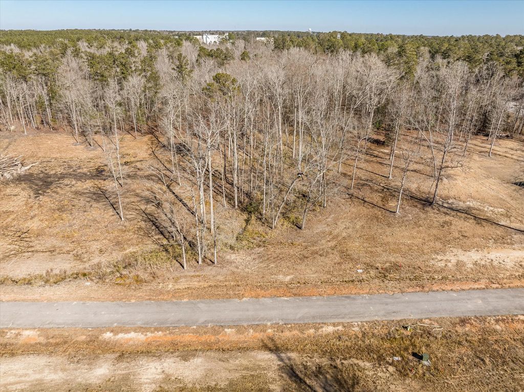 140 Alcovy Road, McDuffie