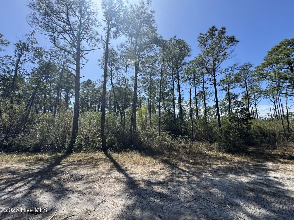 Lot 490 Craven Street, Boiling Spring Lakes