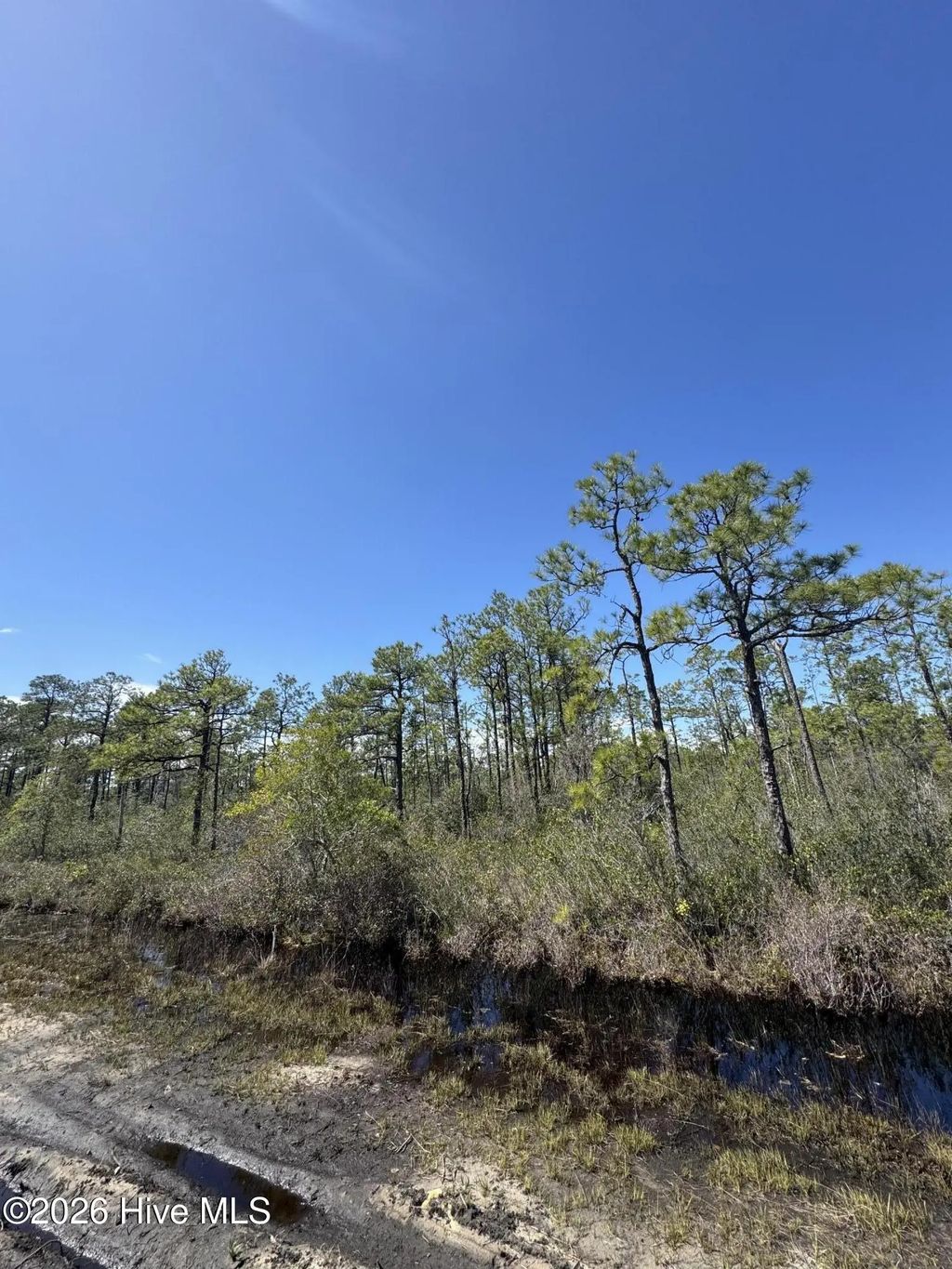 Lot 316 Columbus Road, Boiling Spring Lakes