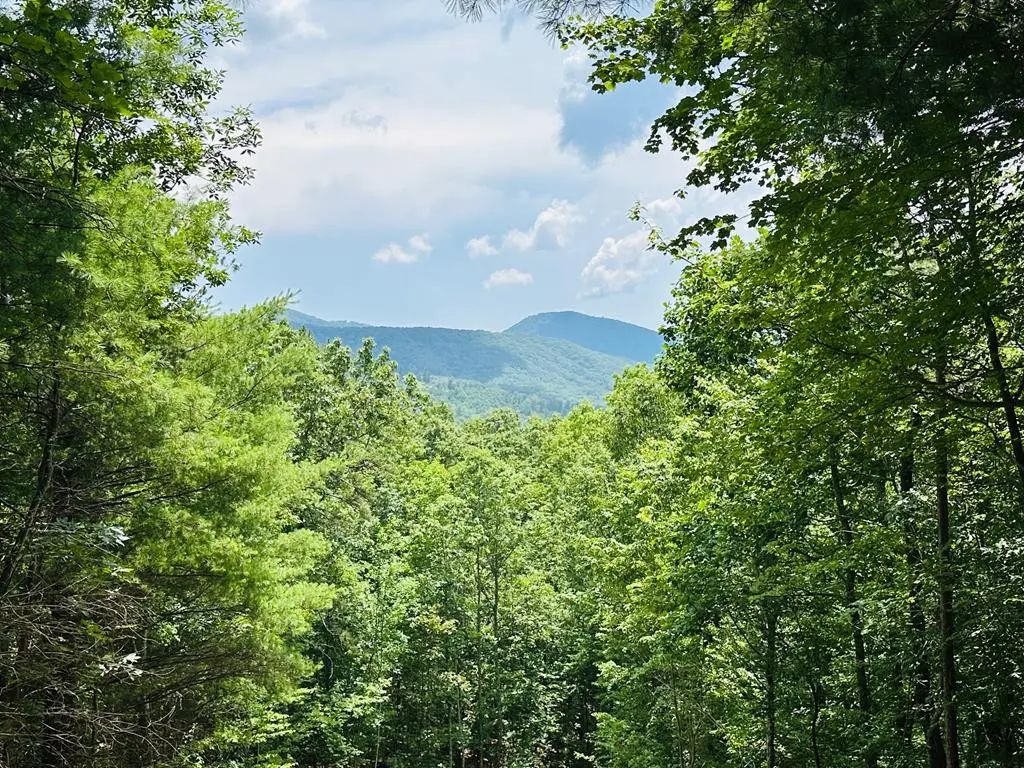 Lot 15 View Ridge Trail, Murphy