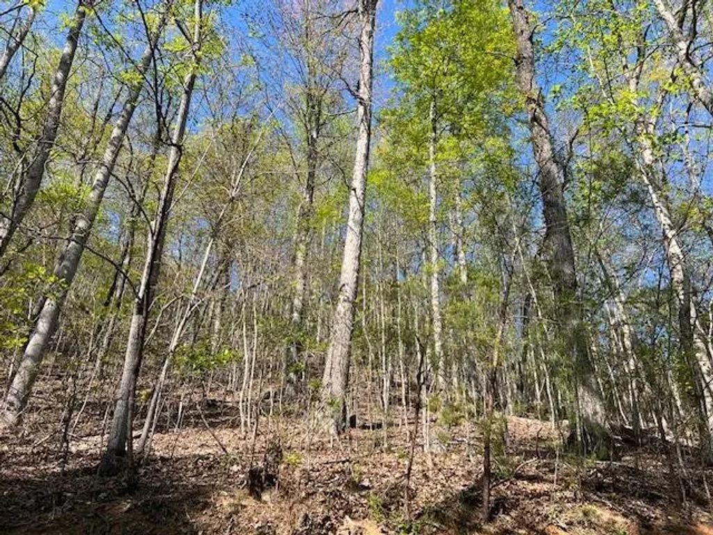 Lot 2b Grandview Drive, Hayesville