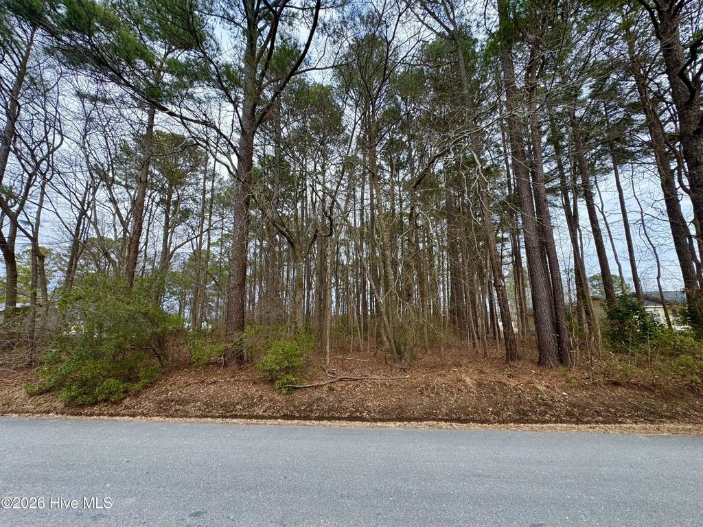 0 Lincoln Drive, Kenly