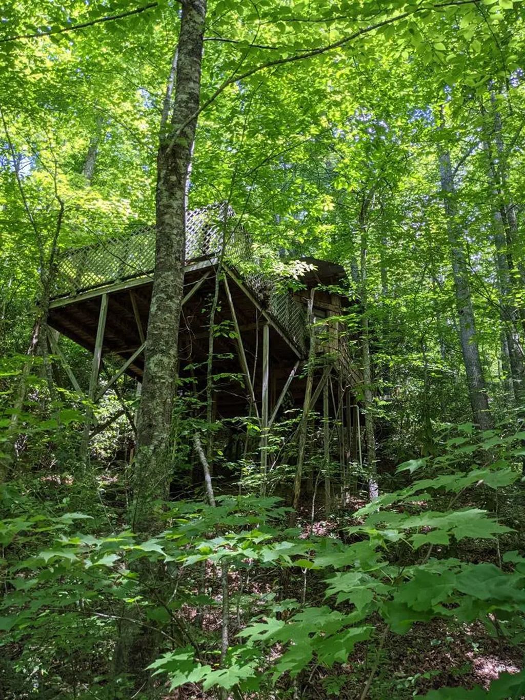 3.38 Long Creek, Robbinsville
