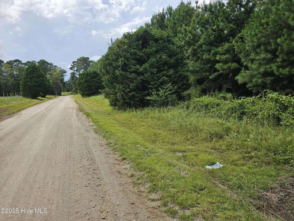 Lot 10 & 9 Powell Lane, Loris