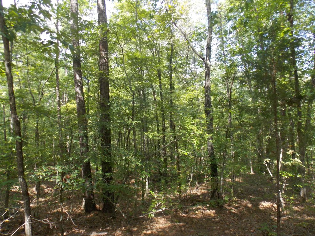 11 Doe Run, Lincoln