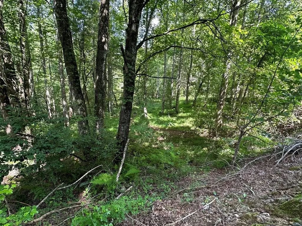 00 Choctaw Ridge Trail, Hiwassee Dam