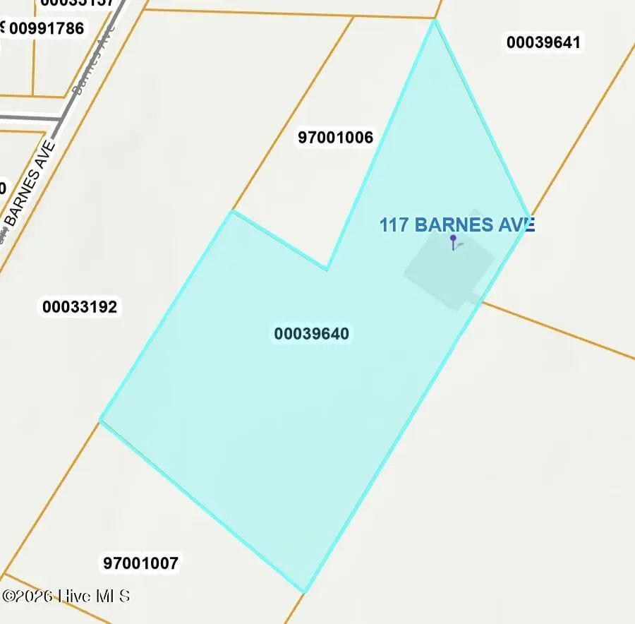 117 Barnes Avenue, Carthage