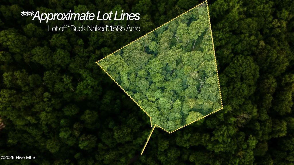 Lot Off Buck Naked Road, Other