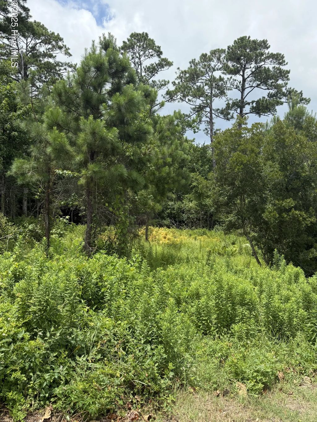 1015 Meridian Drive, Sneads Ferry