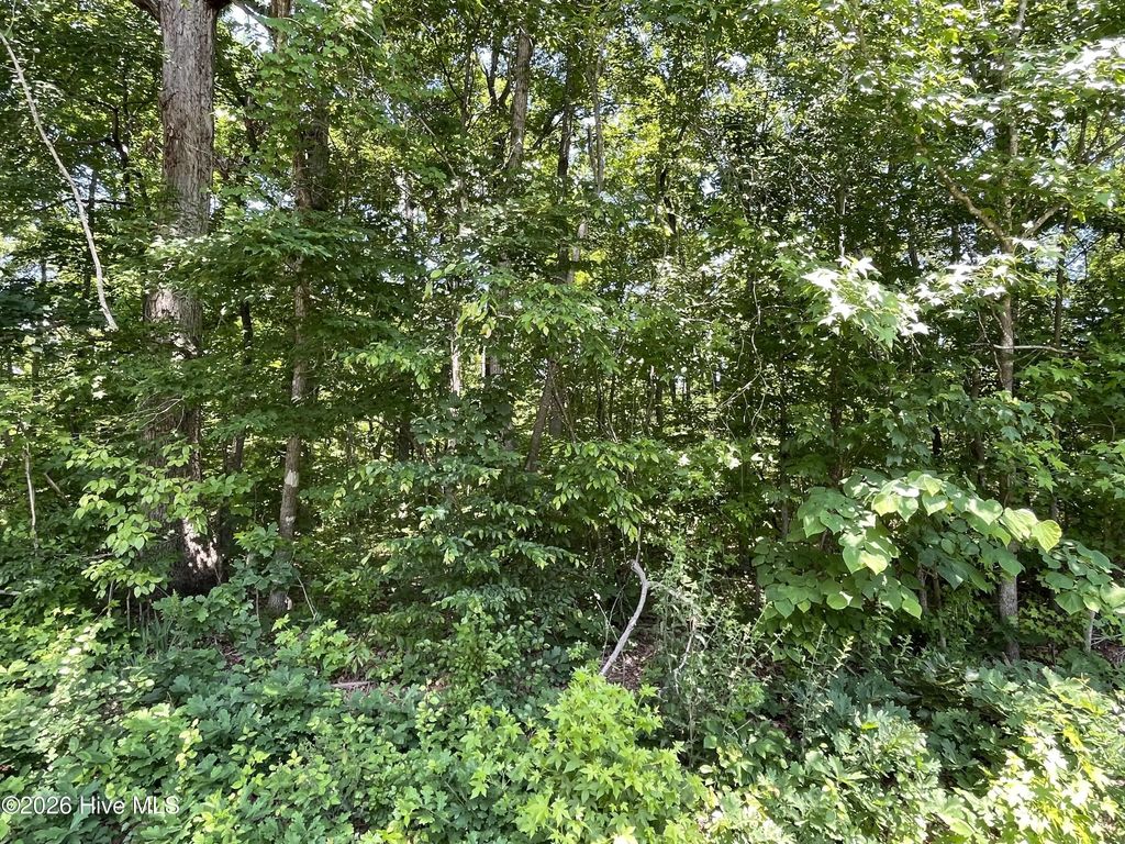 Lot 1 Shady Lane, Burlington