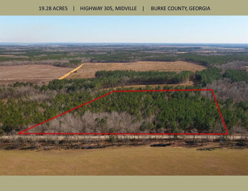 19.3 Acres Ga-305, Burke