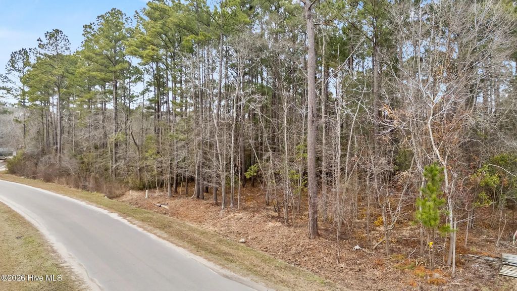 Lot 4 Copperhead Lane, Burgaw