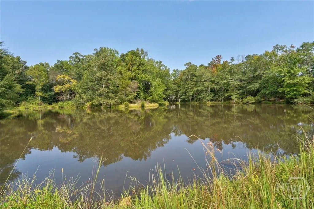 1190 Old Bishop Road, 