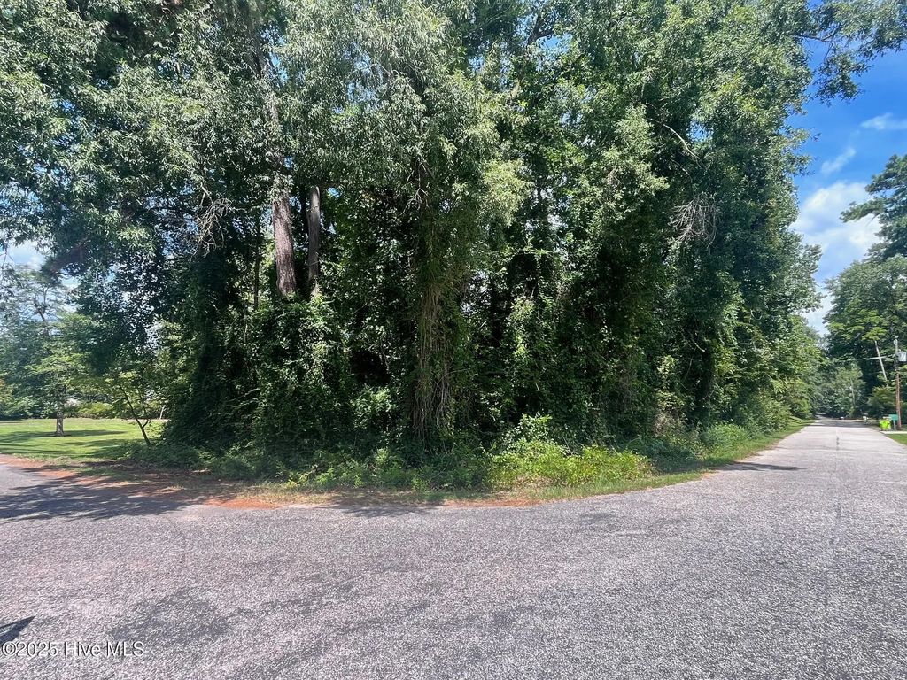 Lot 110 Wildwood Road, Whiteville