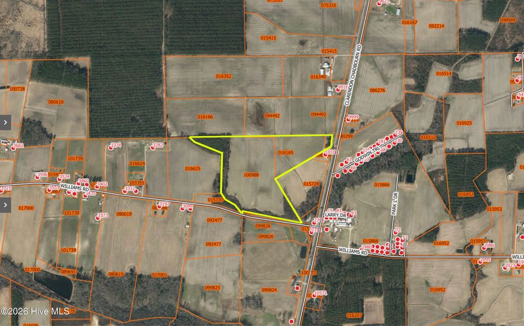 Near 10106 Clarendon Chadbourn Road, Clarendon
