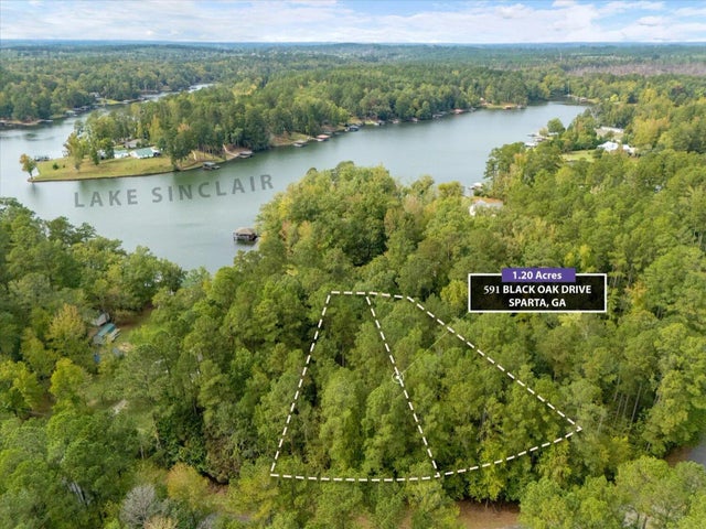 591 Black Oak Dr Drive, 