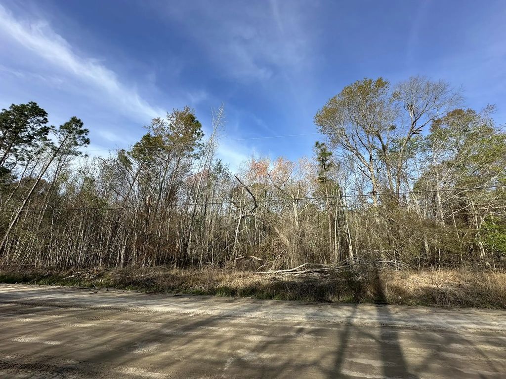 Lot 12 Robin Boulevard, Other