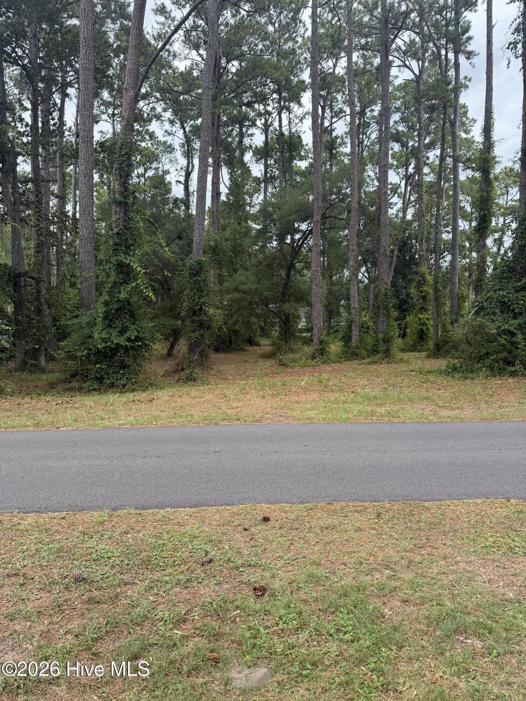 9010 Ocean Harbour Golf Club Drive Sw, Calabash