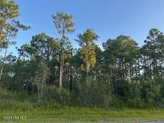 L365 & 366 Drayton Road, Boiling Spring Lakes