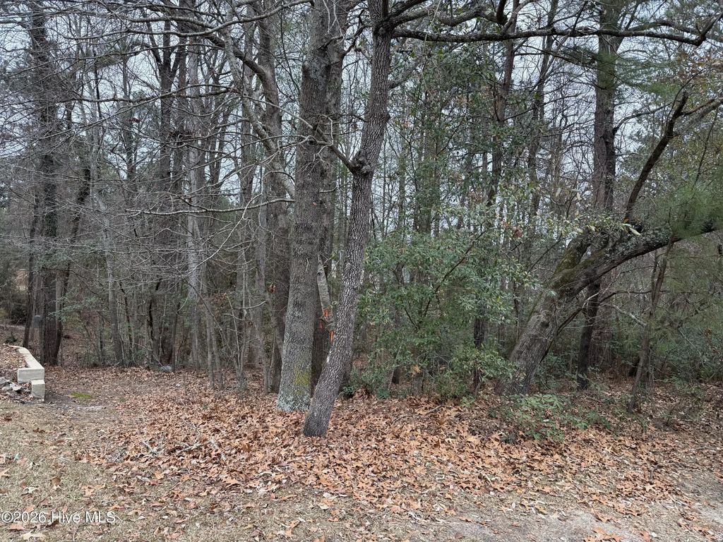 275 Canter Lane, Pinehurst