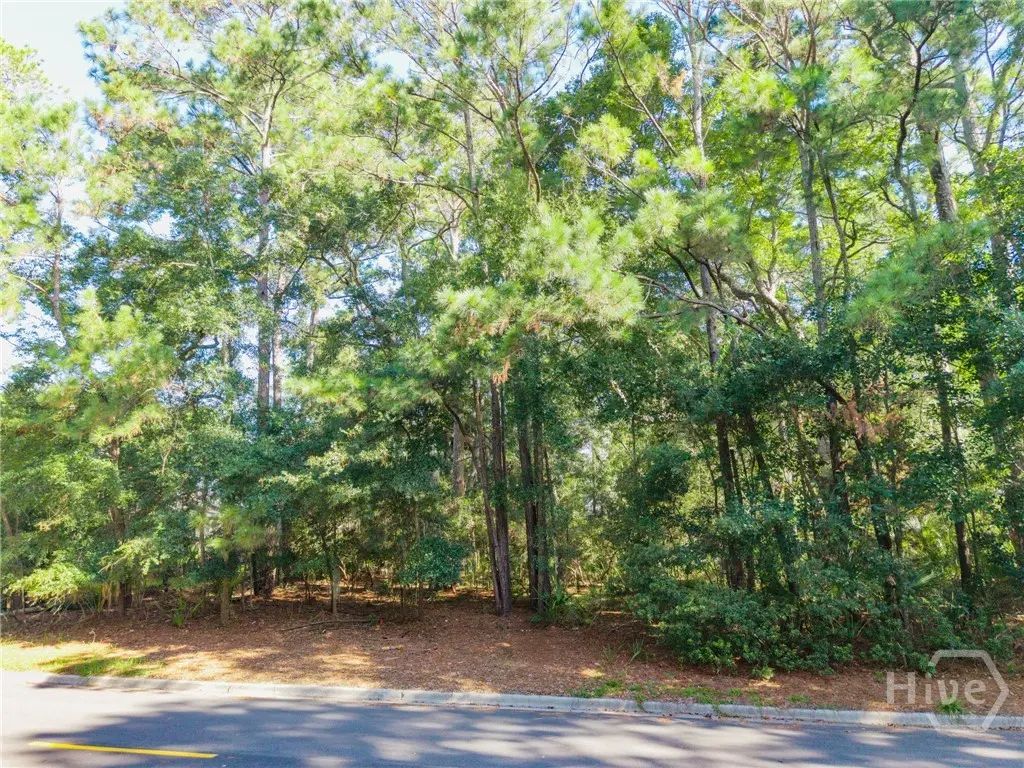 15 Pelham Road, Savannah