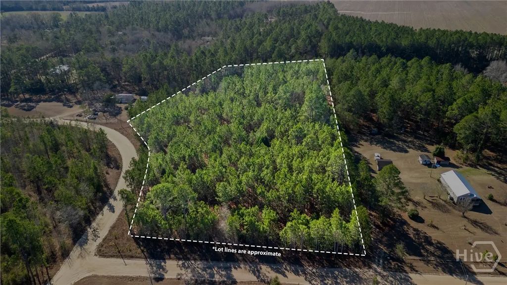3201 Deer Run Lane, Statesboro