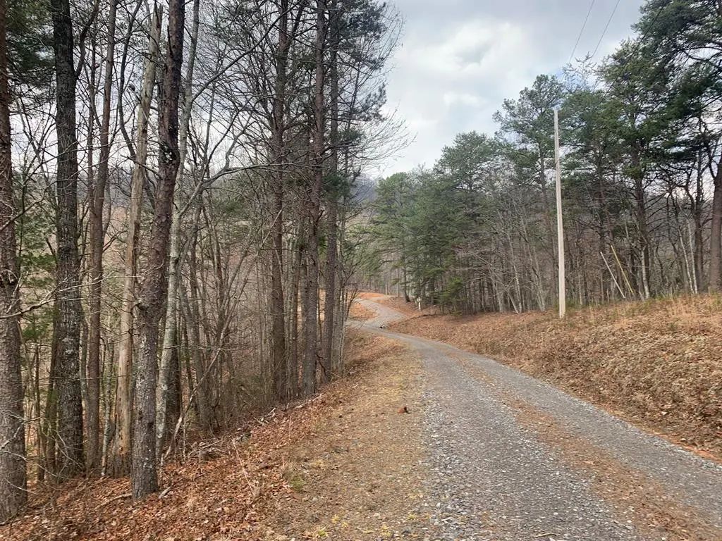 Lot 20 Wolf Ridge Lane, Murphy