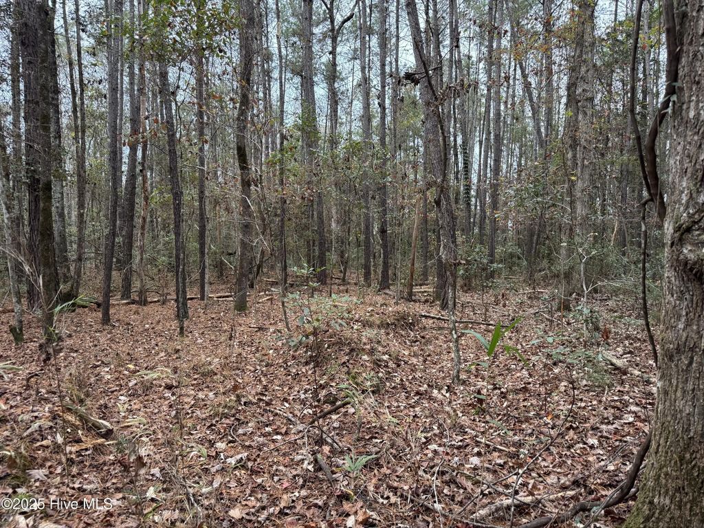 0 Near 715 Nc Hwy 133, Rocky Point