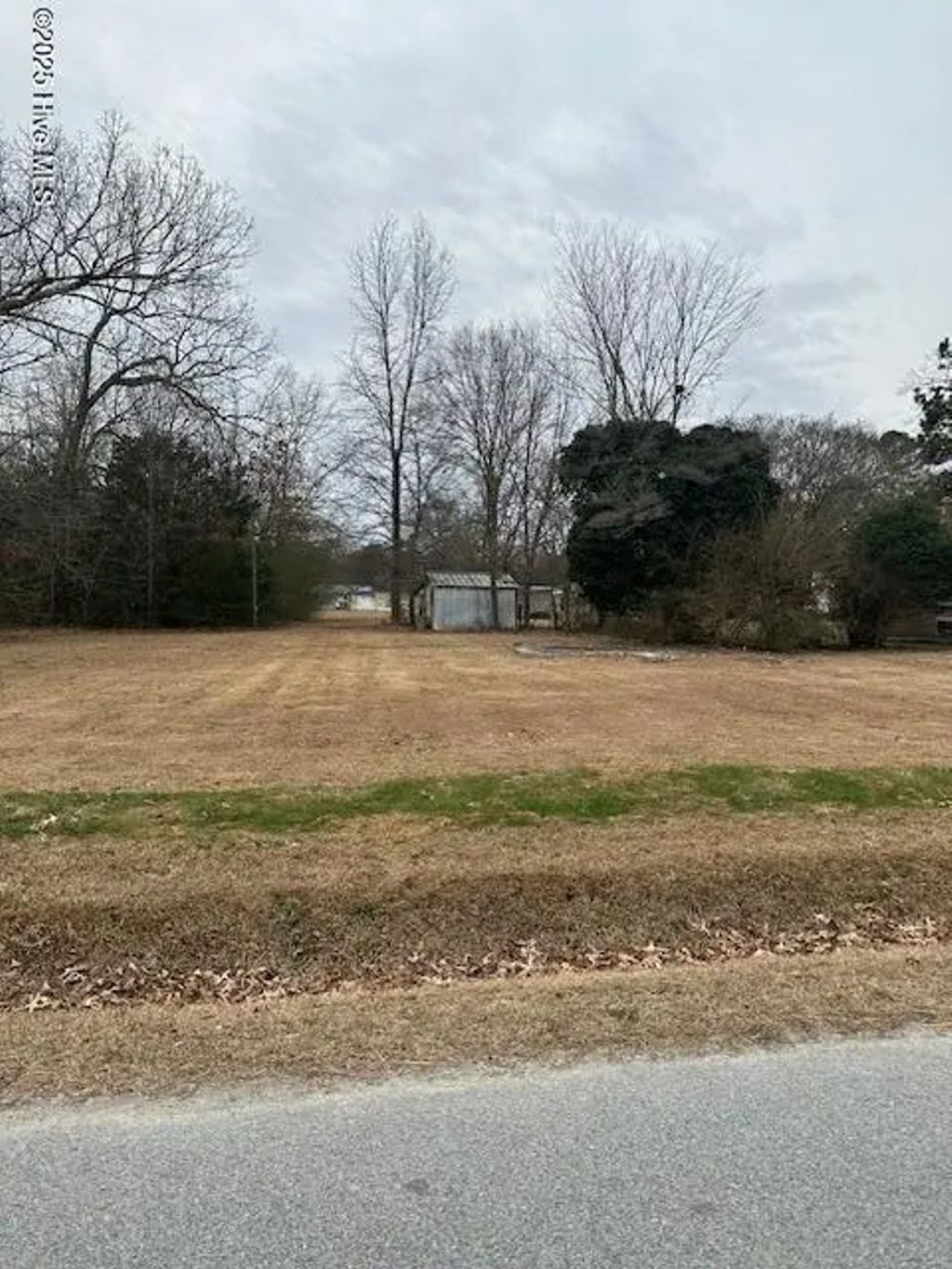 203 W Edgecombe Street, Whitakers