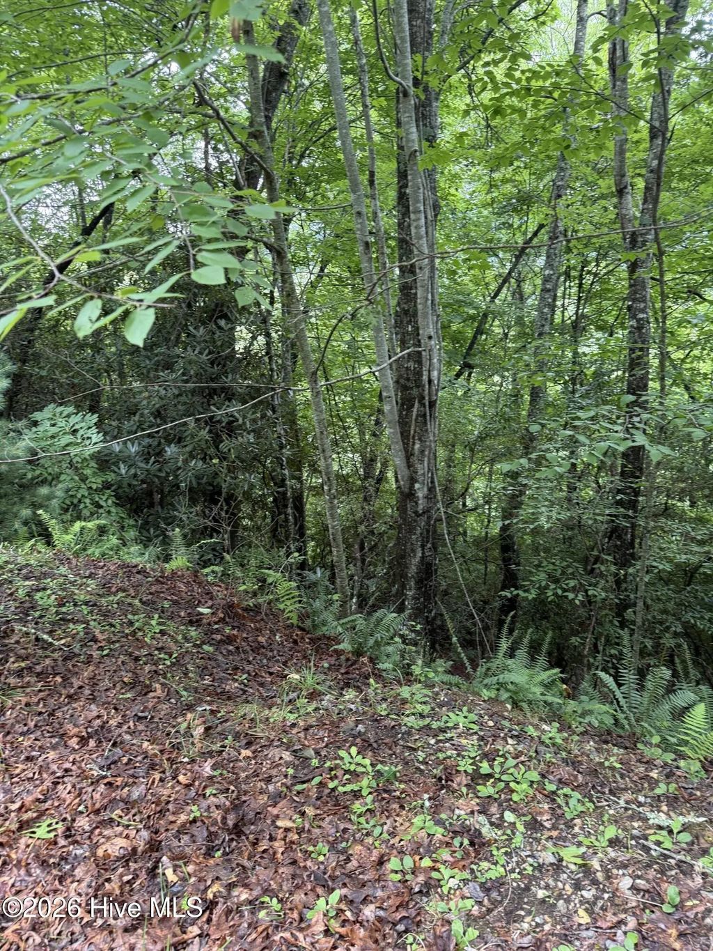 Lot 2 Forest Vista Lane, Topton