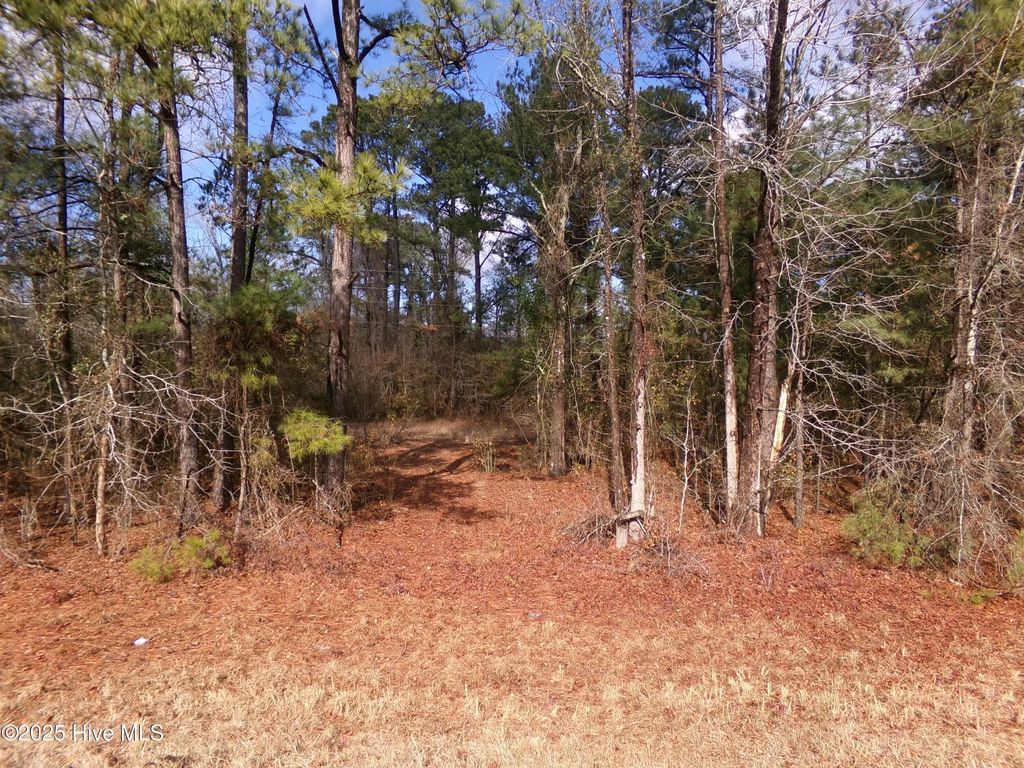 Near 273 Kenric Road, Lumberton