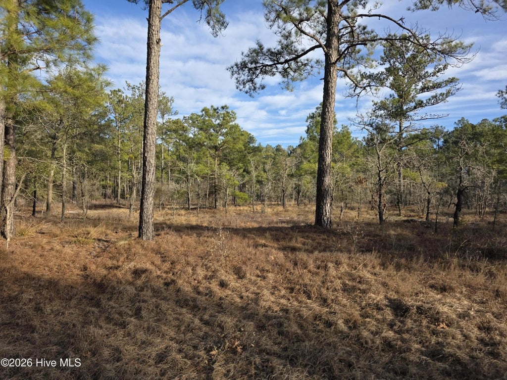 Lot 11 Meeks Creek Drive, Rocky Point