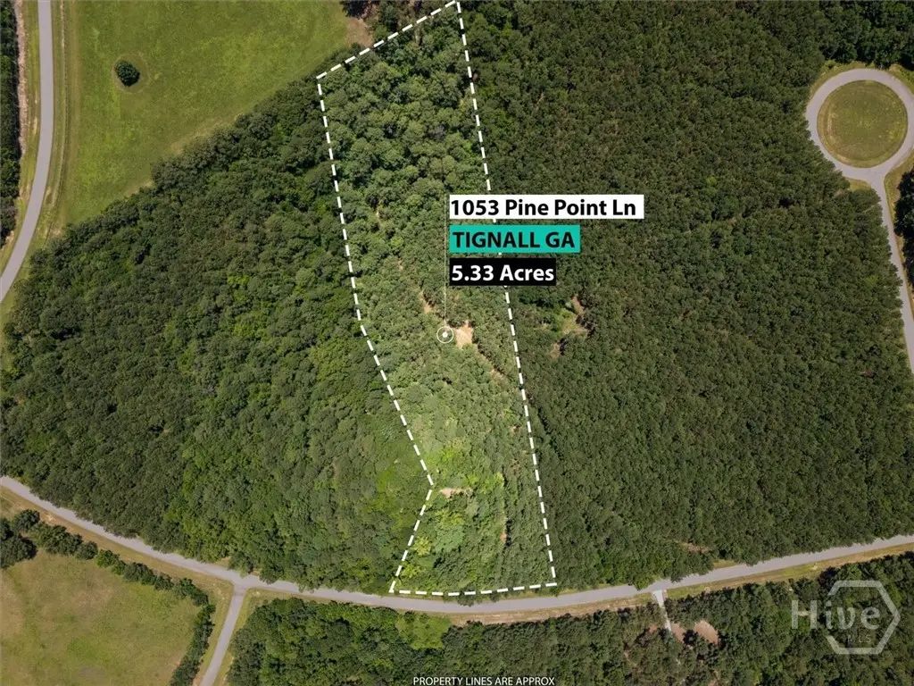1053 Pine Point Lane, Tignall