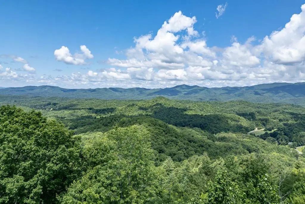 Lot 111c Puett Cove Estates, Marble