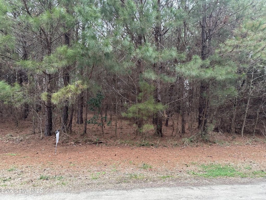 Near 51 Gores Drive, Clarendon