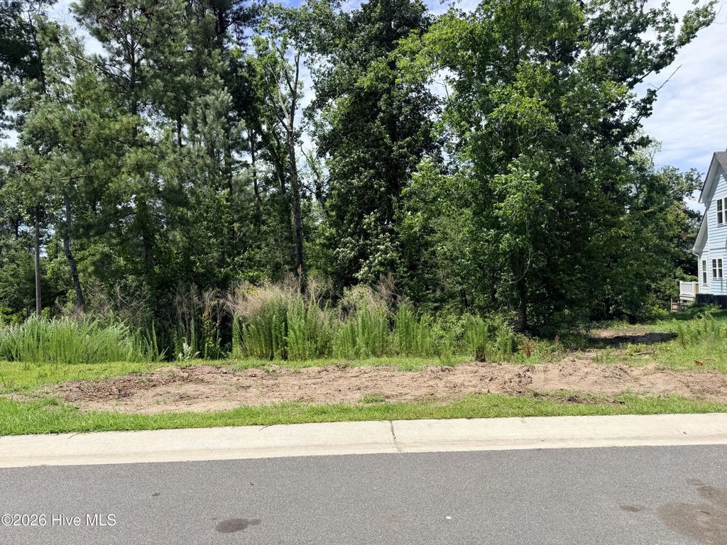 9011 River Glenn Loop Ne, Leland
