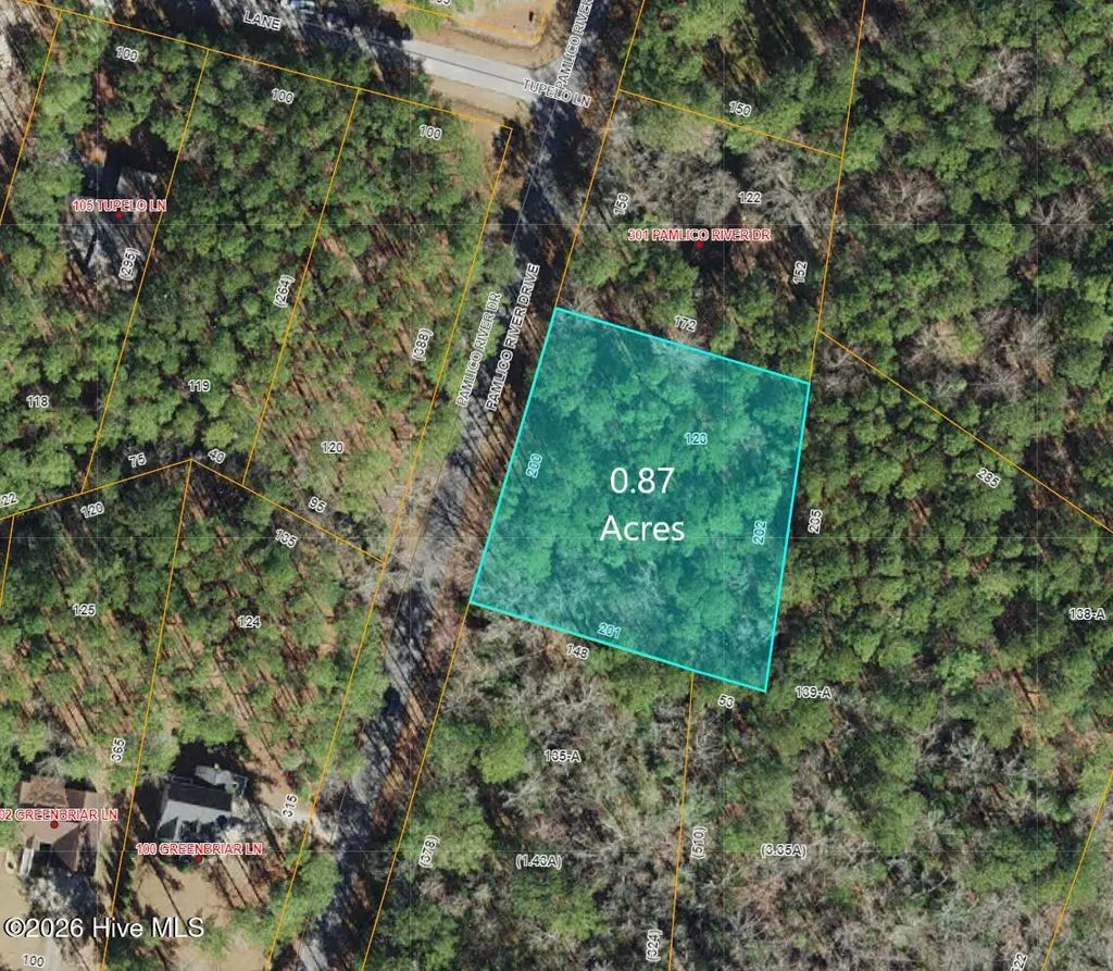 335 Pamlico River Drive, Washington
