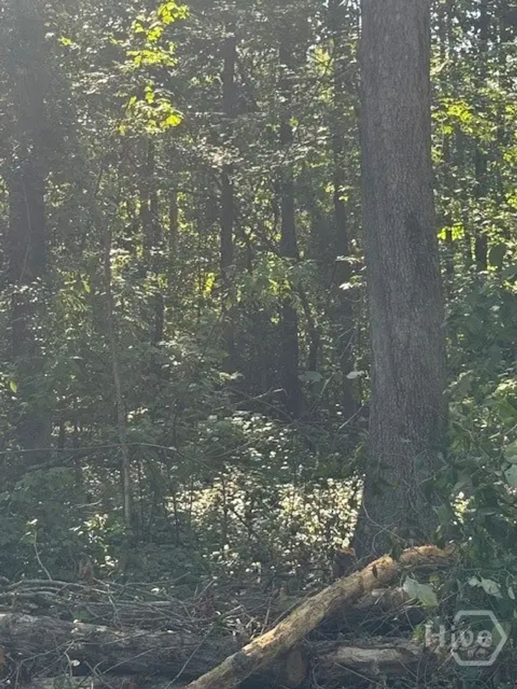 0 Rita Ridge Lot 7, Jefferson