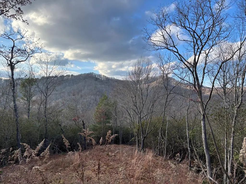 2.02 Ac Viewforth, Nantahala