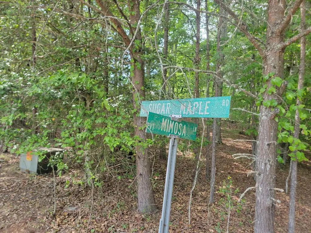 44 Sugar Maple Road, Bellview