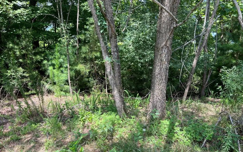 Lot 59 Fires Creek Cove, Hayesville