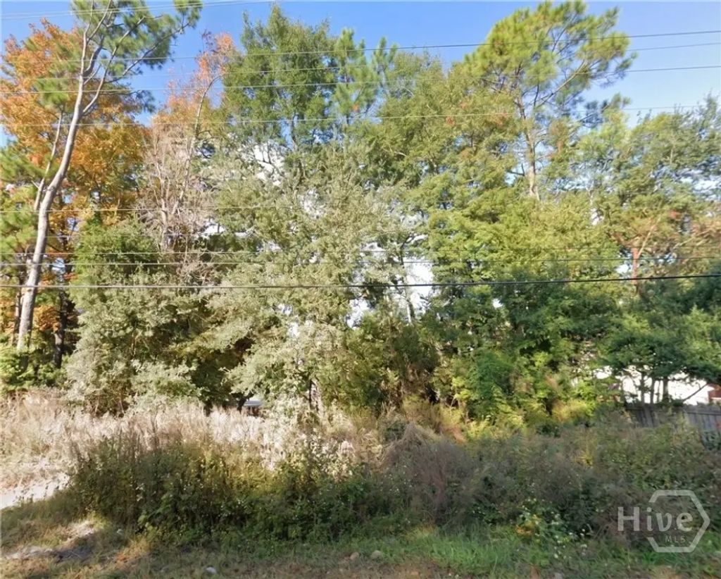 0 Johnny Mercer Boulevard, Savannah