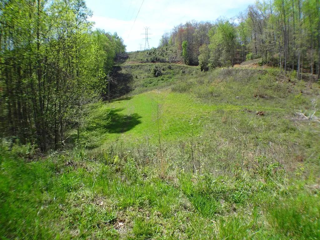 Lot10&11 Deweese Road, Nantahala