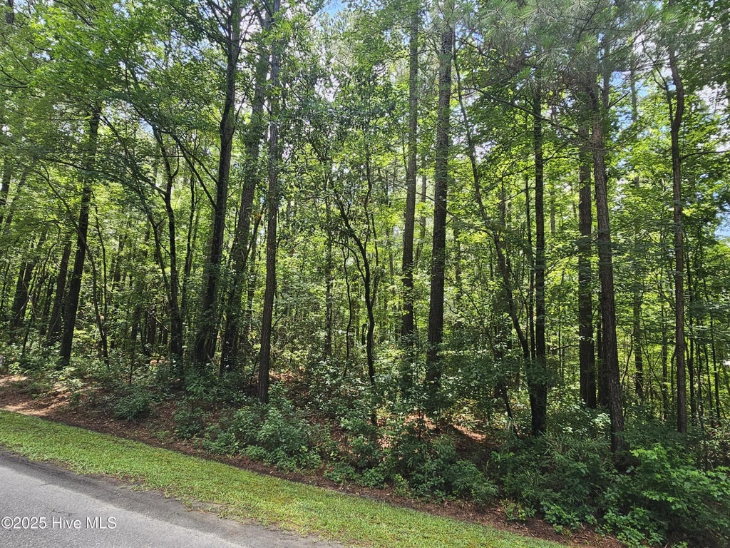 1429 Forest Acres Drive, Greenville